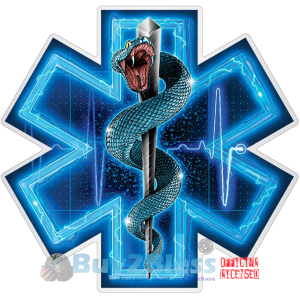 Silver Snake EMS EMT Full Premium Reflective Decal From 2-12 Inches